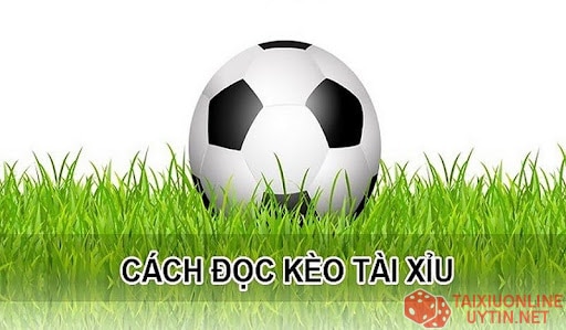 Cách đọc kèo tài xỉu chuẩn dành cho người mới